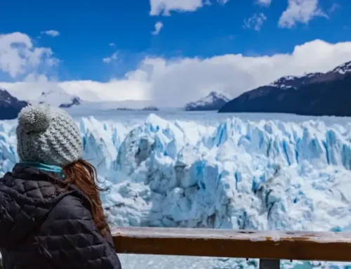 Qué esperar de una comunidad argentinos emigrados apoyo