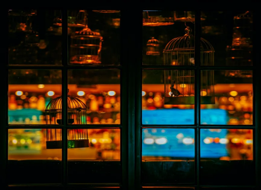 A window that has a birdcage in it