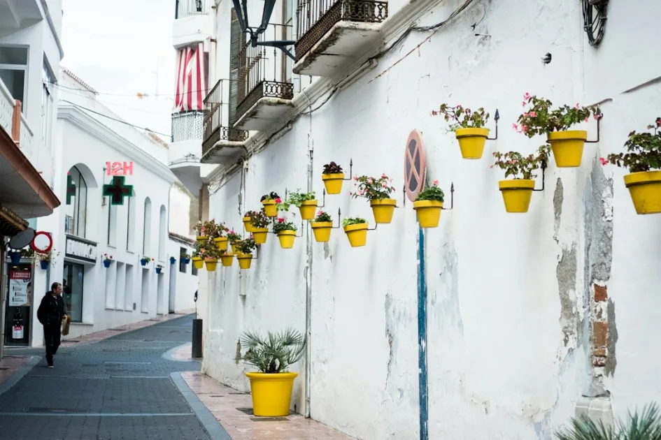 Vivir en Málaga siendo argentino: barrios, costos y primeros pasos